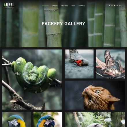 ThemeForest Photography Aurel