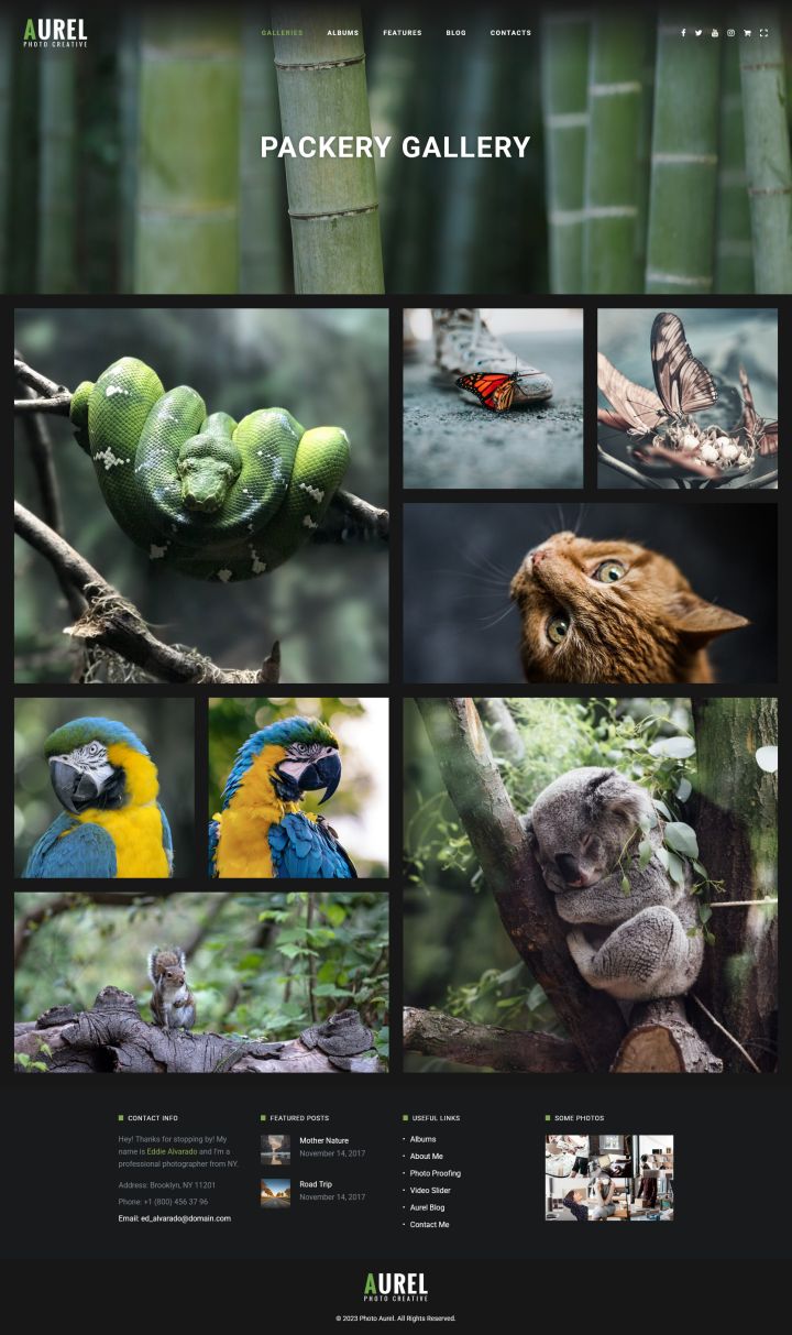 Шаблон ThemeForest Photography Aurel WordPress шаблон ThemeForest Photography Aurel