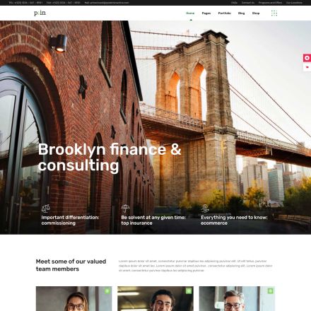ThemeForest PrimeInvest