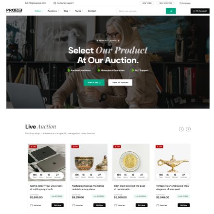 ThemeForest Probid