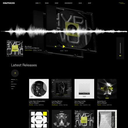 ThemeForest Rawtracks