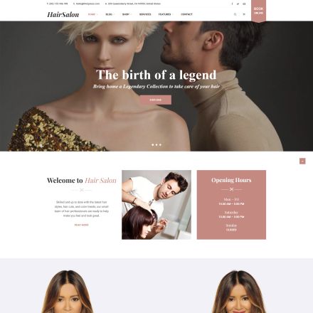 ThemeForest Salox