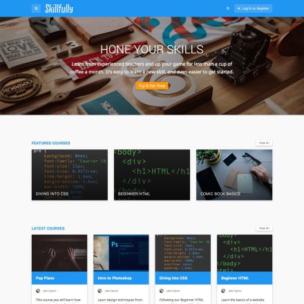ThemeForest Skillfully