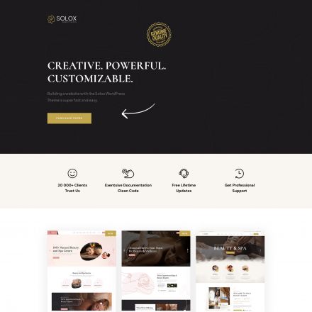 ThemeForest Solox