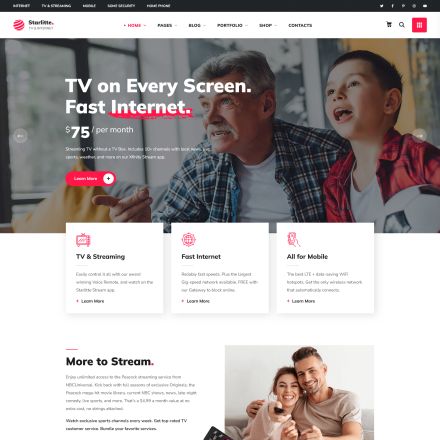 ThemeForest Starlitte