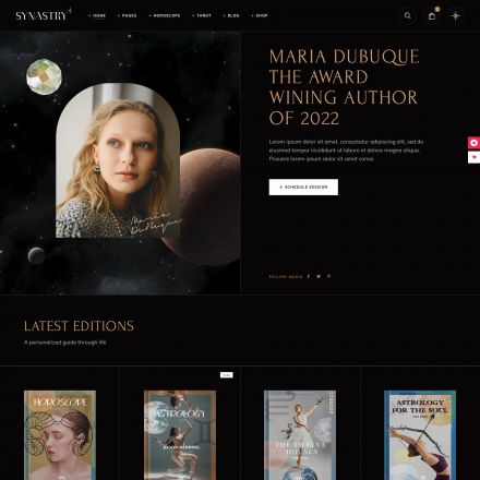 ThemeForest Synastry