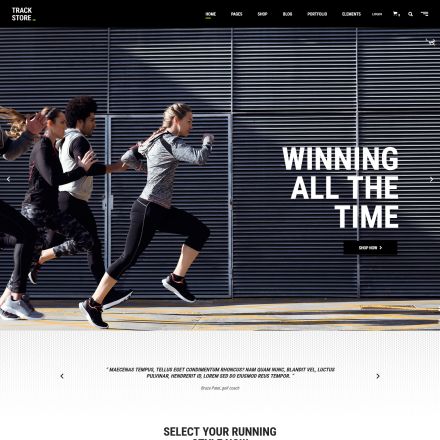 ThemeForest TrackStore