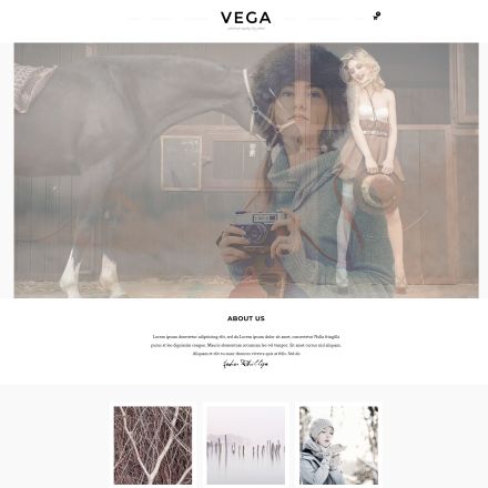 ThemeForest Vega