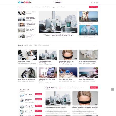 ThemeForest Vidio
