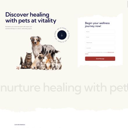 ThemeForest Vitality