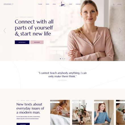ThemeForest Wellmont