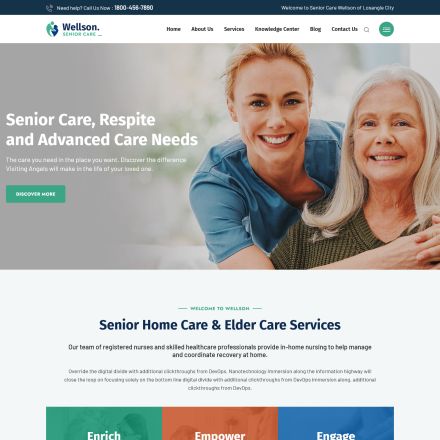 ThemeForest Wellson