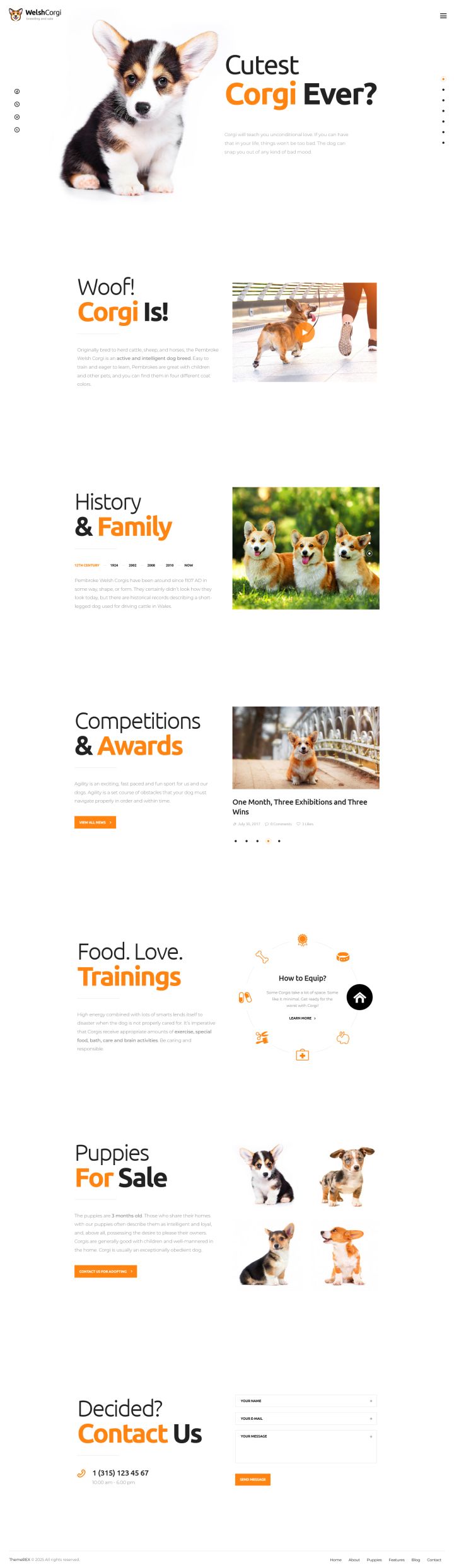 WordPress шаблон ThemeForest Welsh Corgi