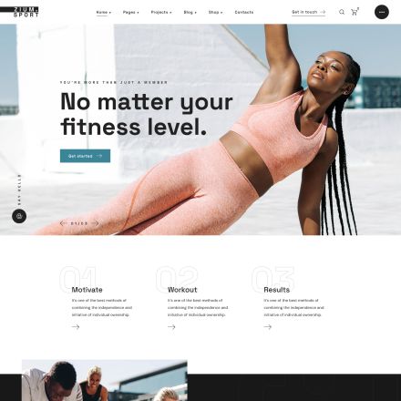 ThemeForest Zium