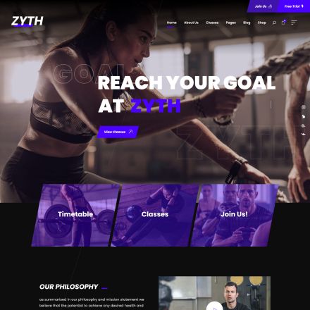 ThemeForest Zyth