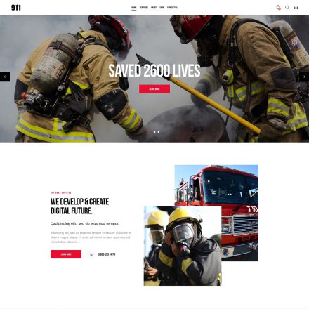 ThemeForest 911