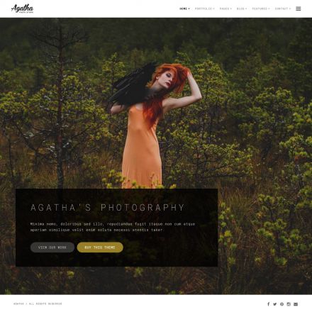 ThemeForest Agatha