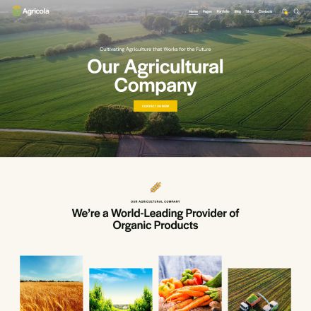 ThemeForest Agricola