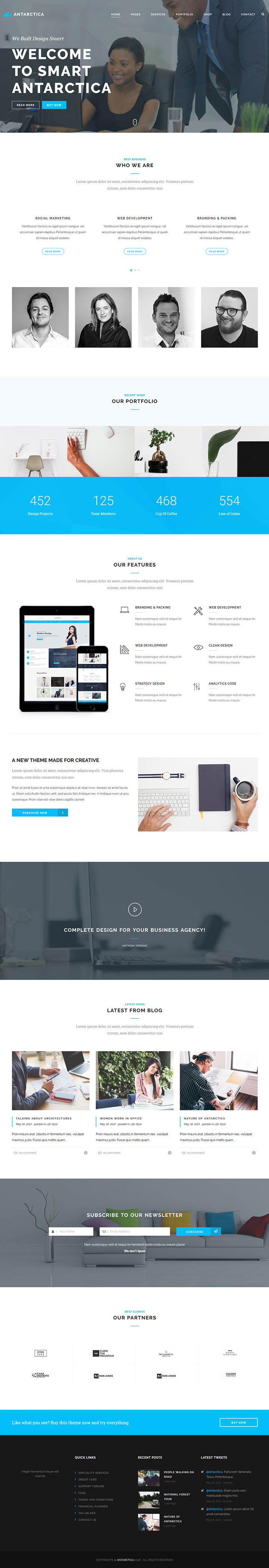 WordPress шаблон ThemeForest Antarctica