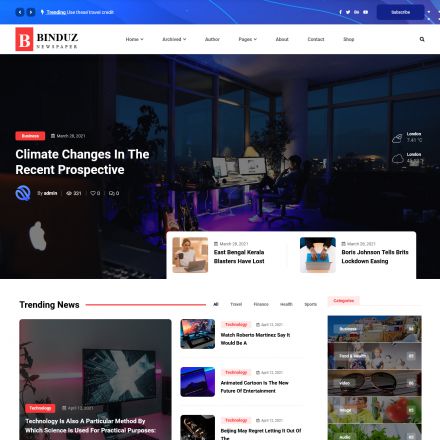 ThemeForest Binduz