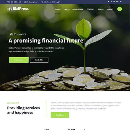 ThemeForest BiziPress