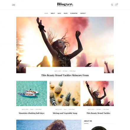 ThemeForest Bloxer