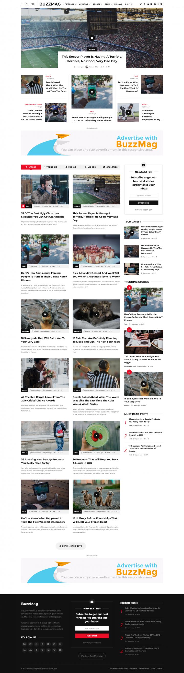 WordPress шаблон ThemeForest BuzzMag