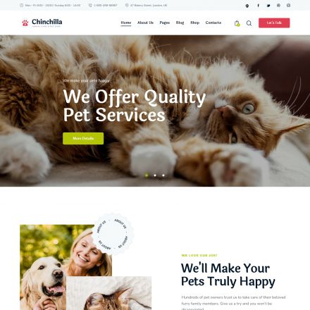 ThemeForest Chinchilla