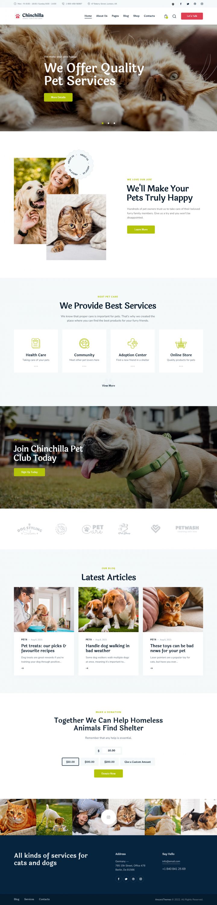 WordPress шаблон ThemeForest Chinchilla