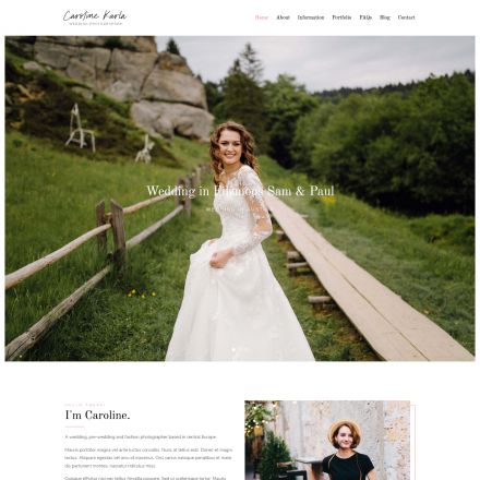 ThemeForest Ckarla