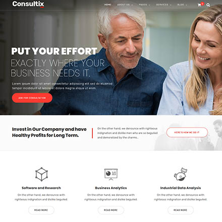 ThemeForest Consultix