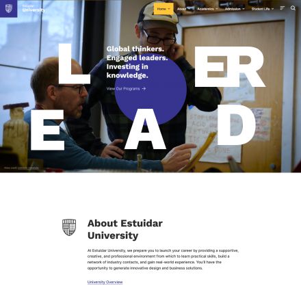 ThemeForest Estudiar