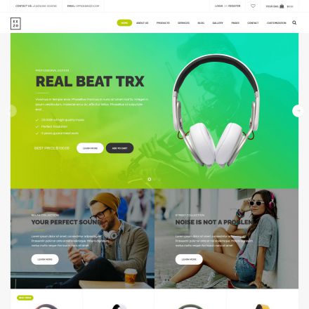 ThemeForest Exzo