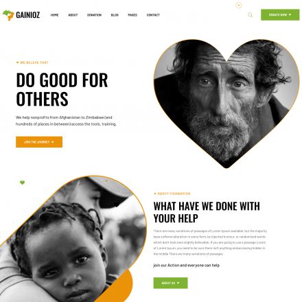 ThemeForest Gainioz