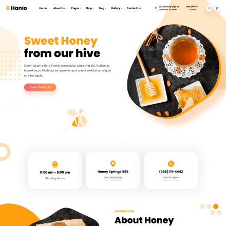 ThemeForest Hanio