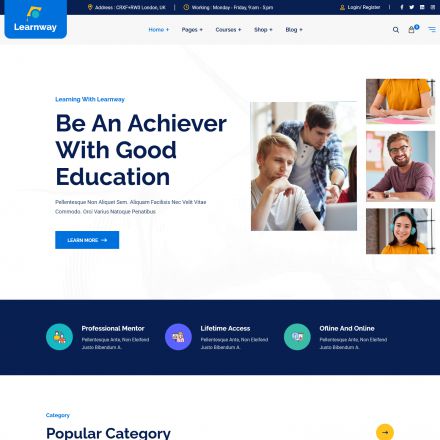 ThemeForest Learnway