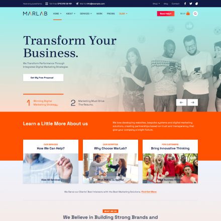 ThemeForest MarLab