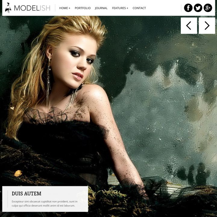 WordPress шаблон ThemeForest Modelish