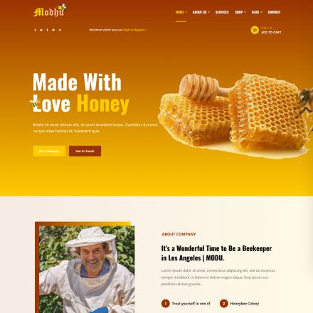 ThemeForest Modhu