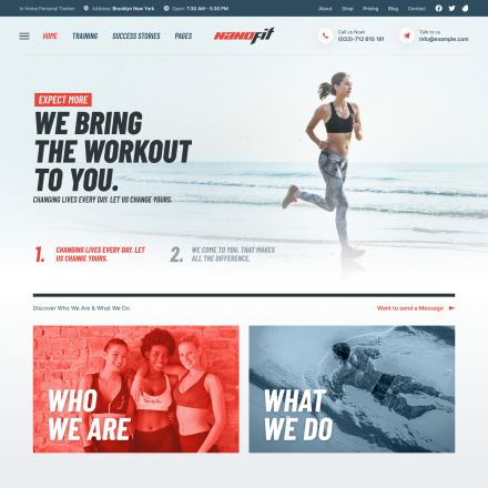 ThemeForest NanoFit