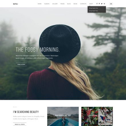 ThemeForest Napoli