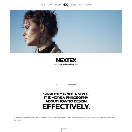 ThemeForest Nextex