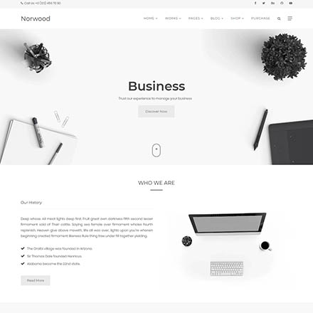 ThemeForest Norwood