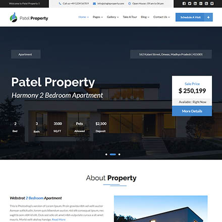 ThemeForest Patel