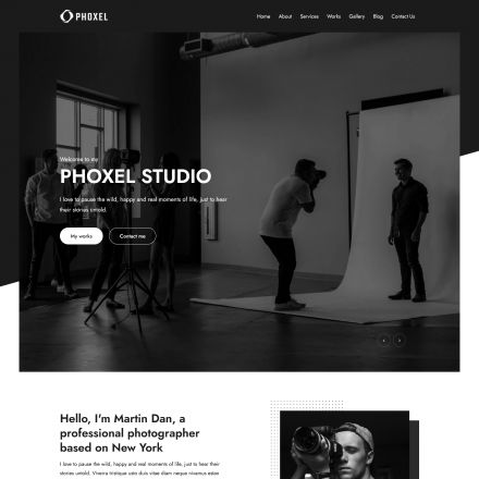 ThemeForest Phoxel