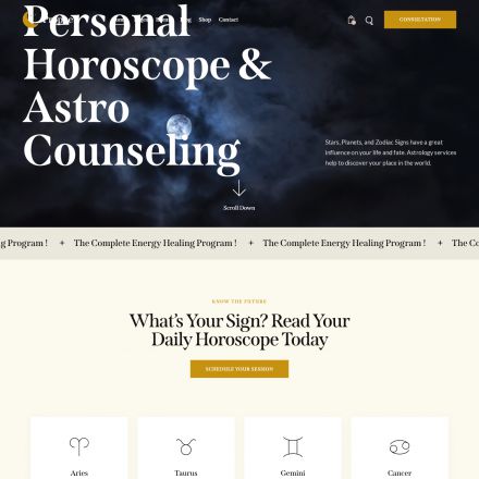 ThemeForest Prophet