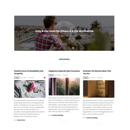 ThemeForest Rosetta