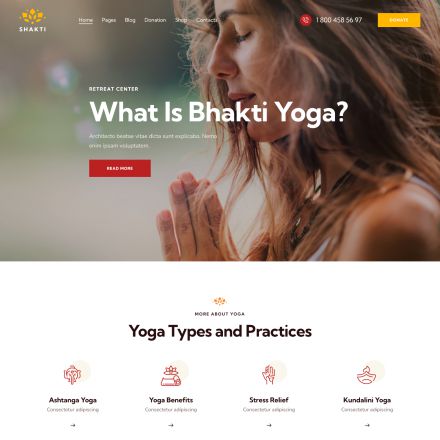 ThemeForest Shakti