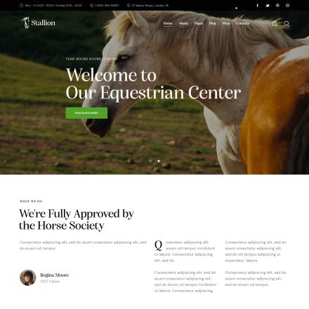 ThemeForest Stallion