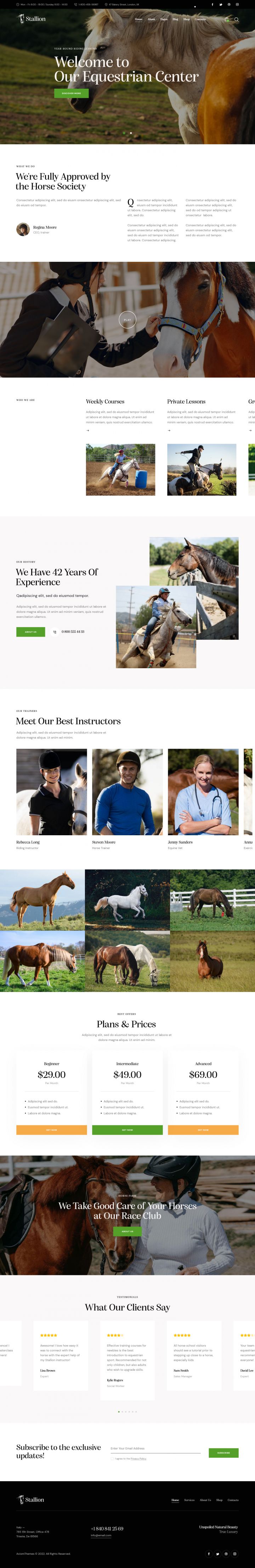 WordPress шаблон ThemeForest Stallion